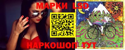 гидропоника Краснодар