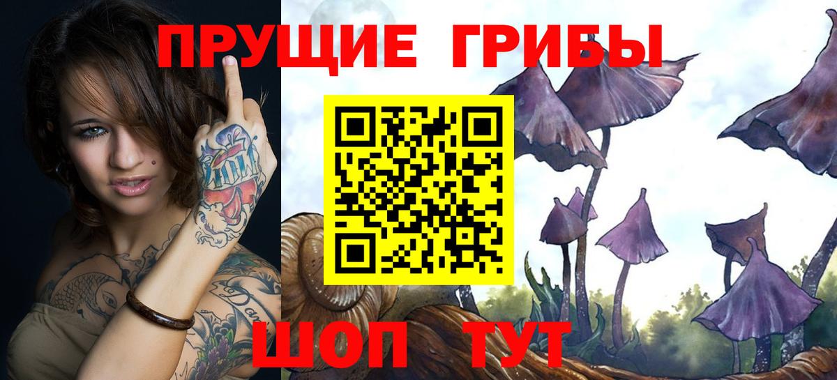 Псилоцибиновые грибы Psilocybe Егорьевск