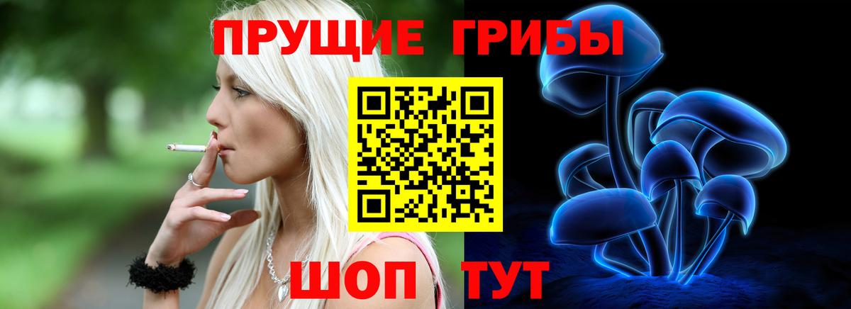 Псилоцибиновые грибы Cubensis  Вход с VPN  Егорьевск  Псилоцибиновые грибы MAGIC MUSHROOMS 